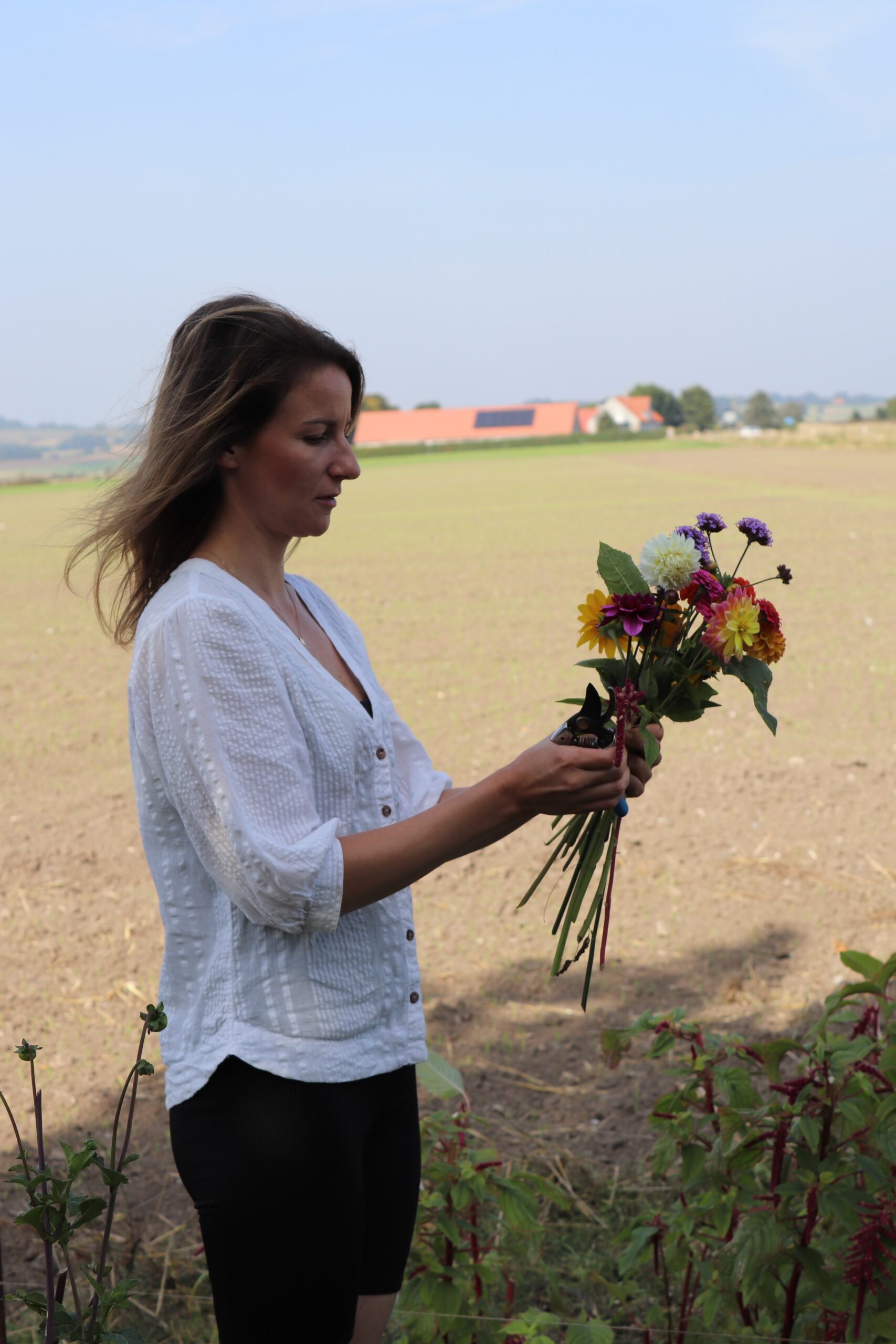 Lisa Stark Løghaven - Lokale, sprøjtefri og bæredygtige blomster i sæson