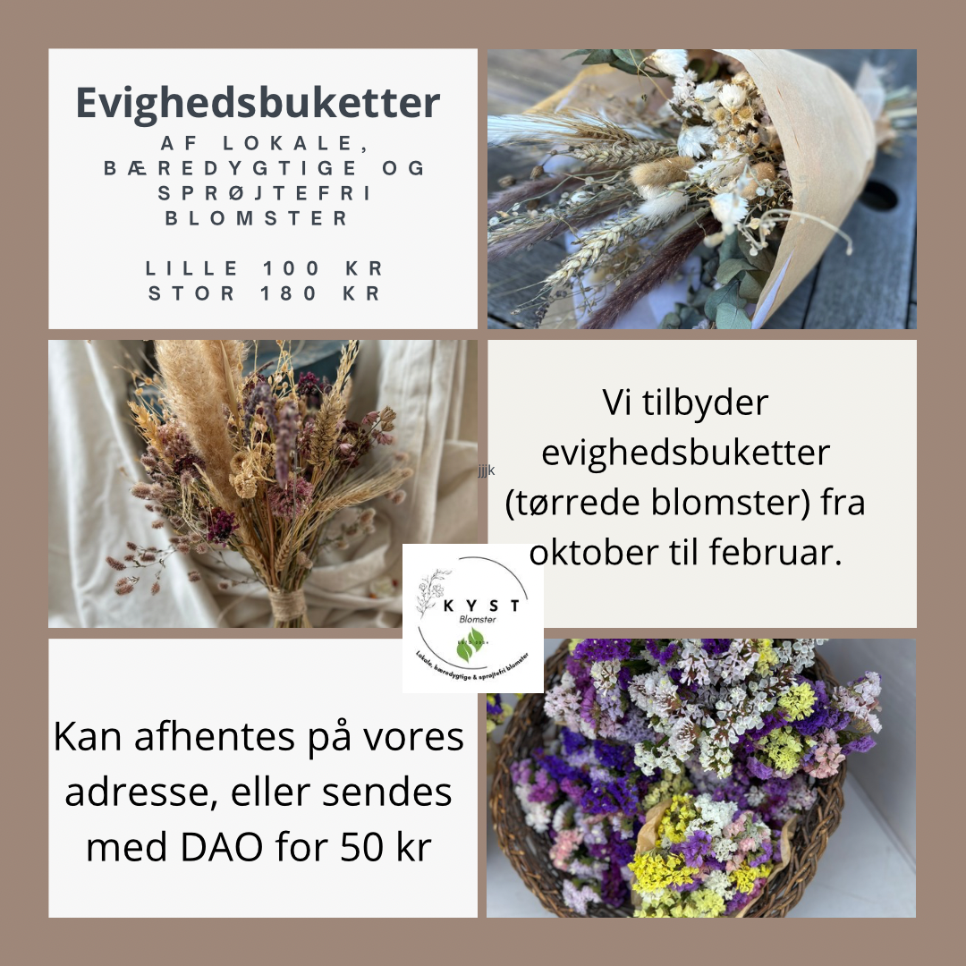 evighedsbuketter tørrede blomster KYST blomster