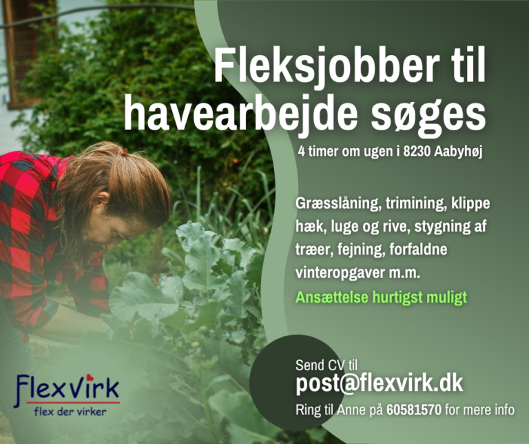 have medarbejder søges til fleksjob i aarbyhøj